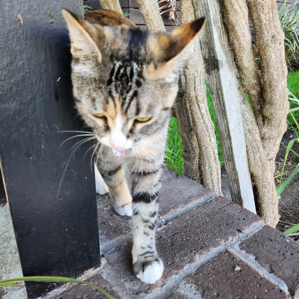 Meet your Posher, Mell